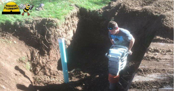 tree root infiltration has impacted a sewer line in northern Utah