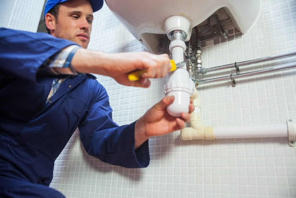 drain cleaning is a big part of what Beehive Plumbing domes for clients thm