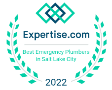 Expertise 2022
