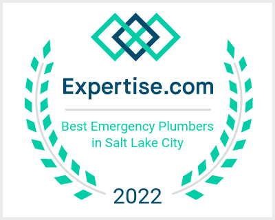Expertise-badge.png